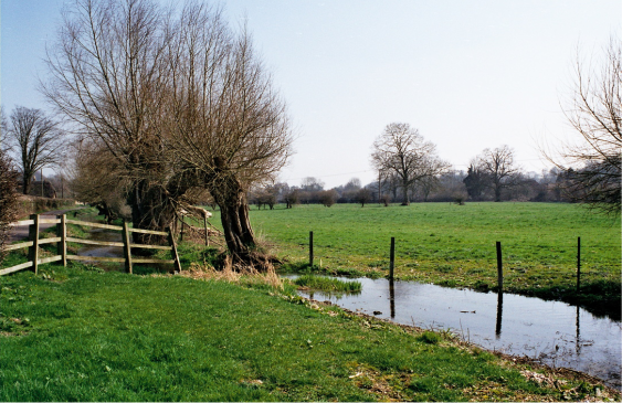 St Mary Bourne - The Bourne Rivulet